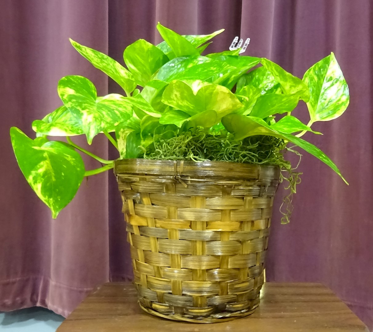 Flowers from The Joe Grant Family