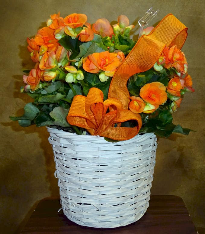 Flowers from Dakota Provisions