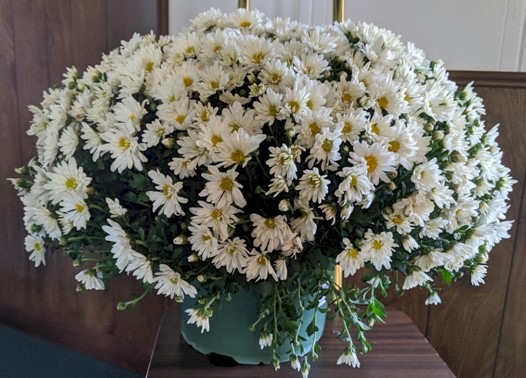 Flowers from Family