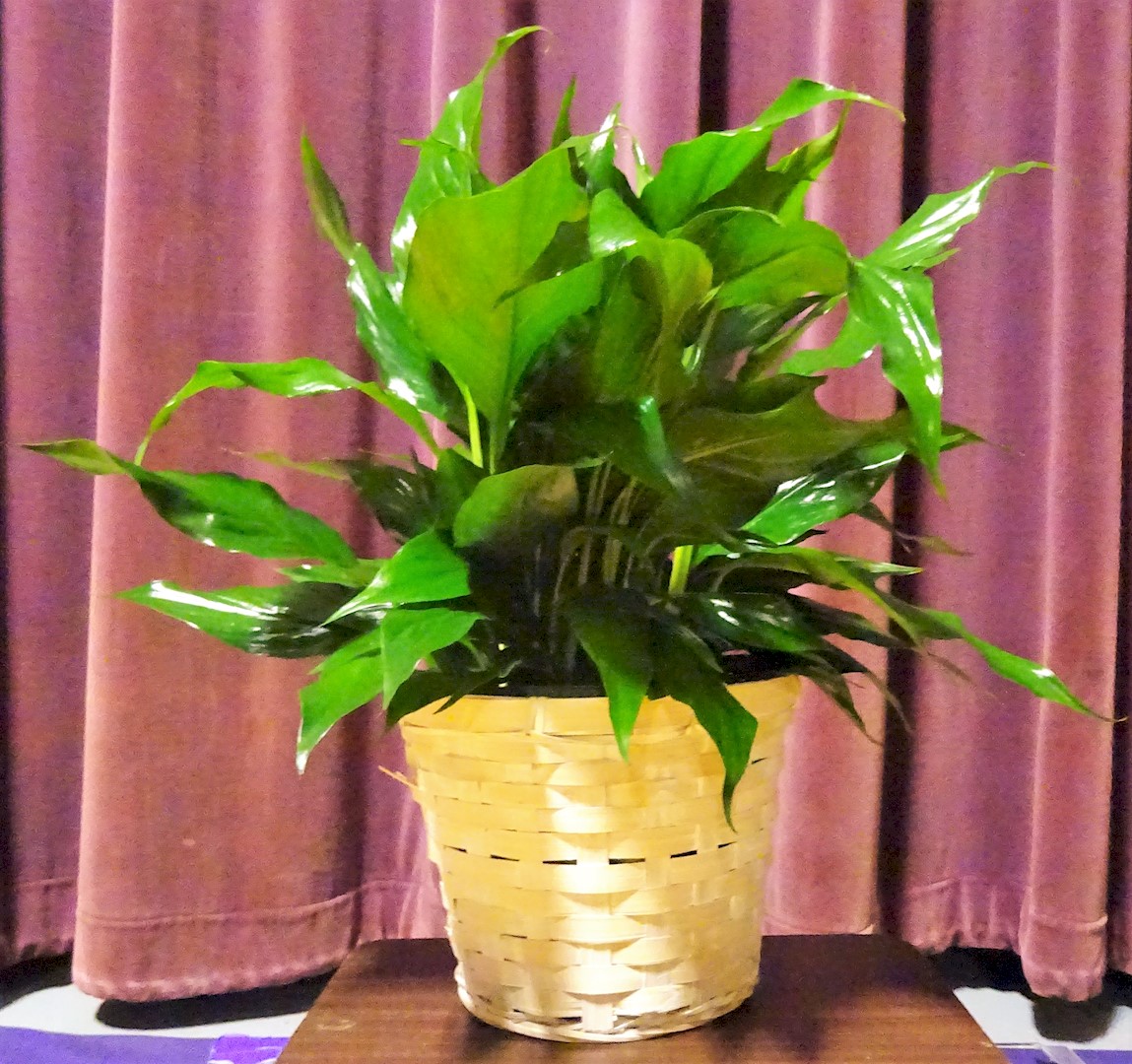 Flowers from Kadoka Area School Staff and School Board