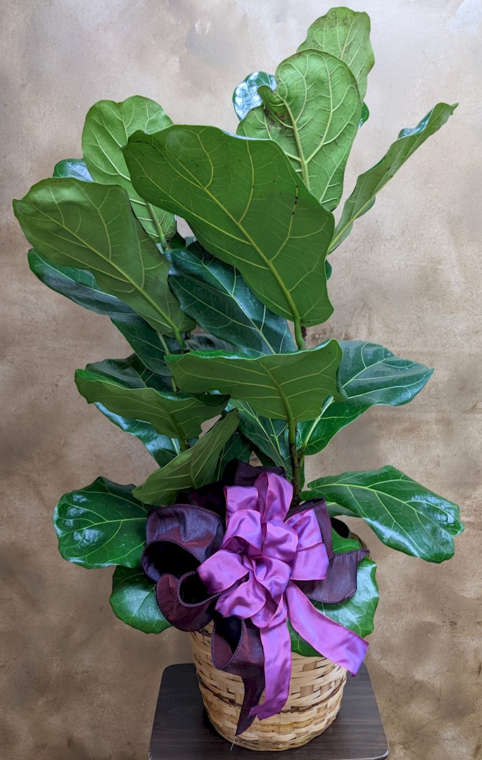 Flowers from Minnehaha County Auditors Office