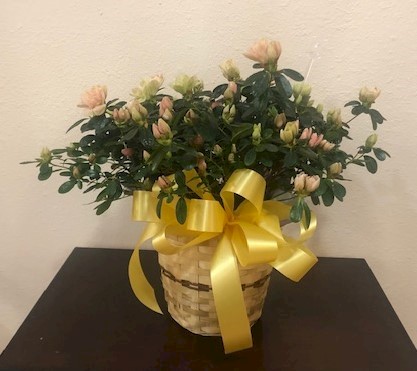 Flowers from Your friends at IRBY