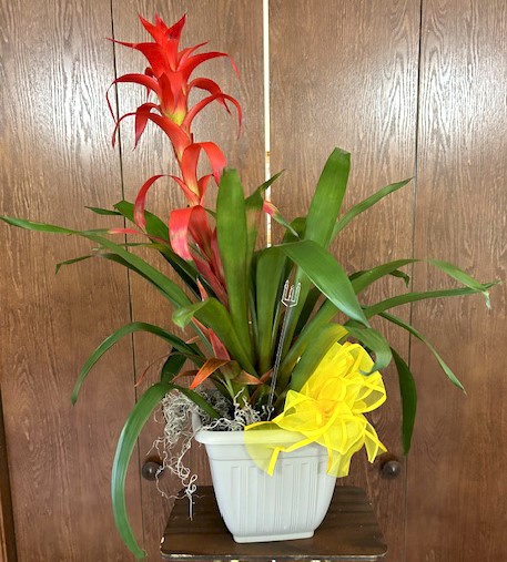 Flowers from Phillips Trucking