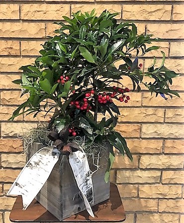 Flowers from Judy and Lyle Berry Family