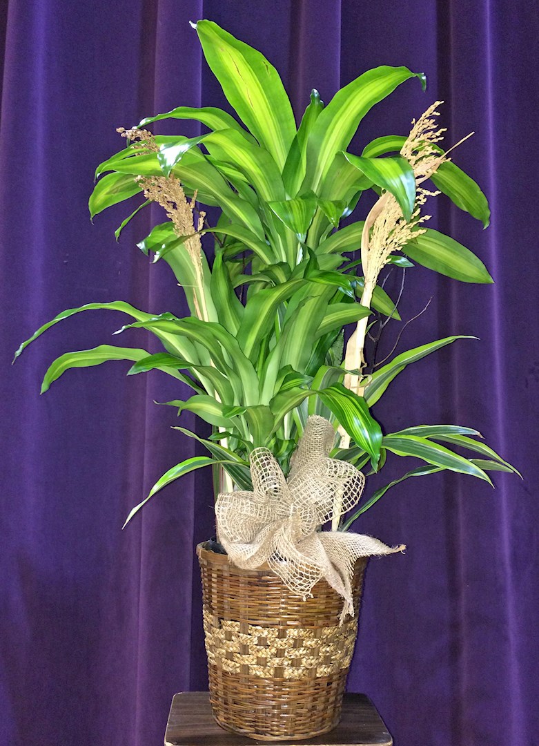 Flowers from All of us at Mathis Equipment