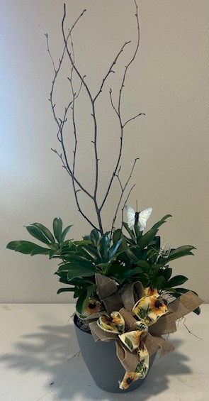 Flowers from Class of 1998