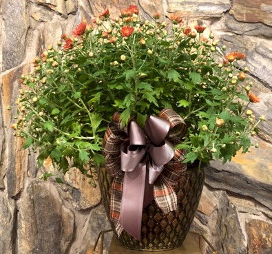 Flowers from Michelle Butler