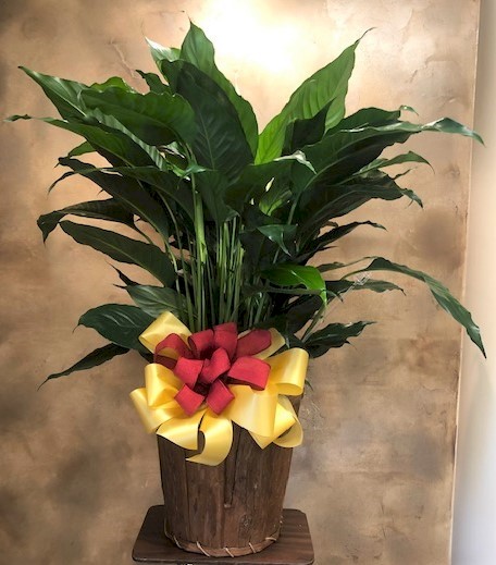 Flowers from NW Pipe Employees