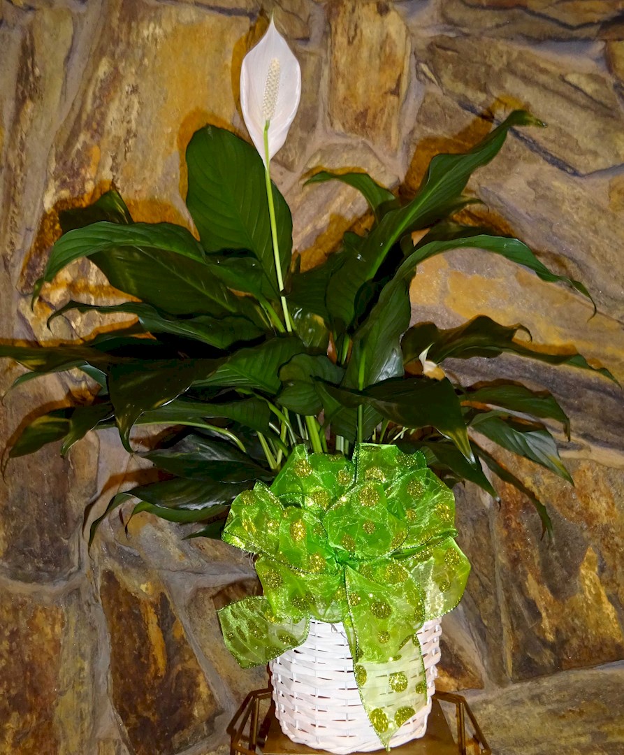 Flowers from Avera McKennan and
University Health Center
