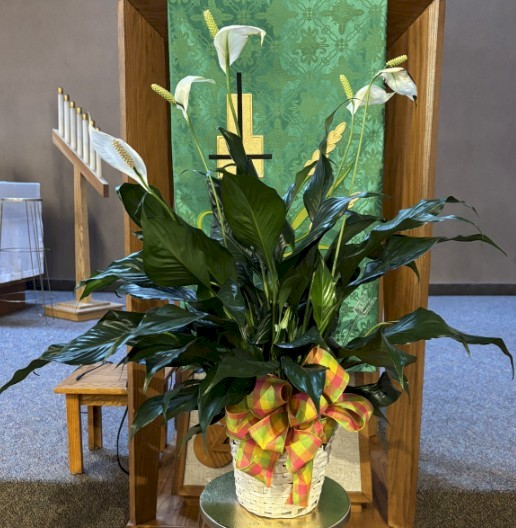 Flowers from Jay and Jill