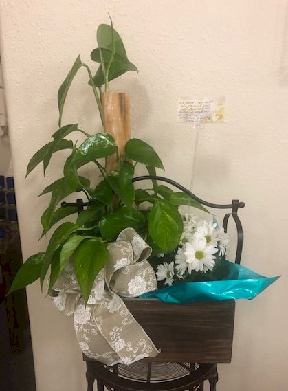 Flowers from Phawn