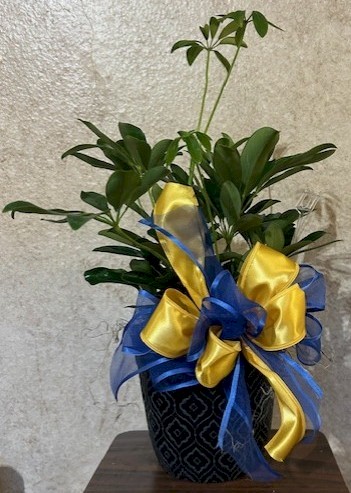 Flowers from Wall Basketball Team