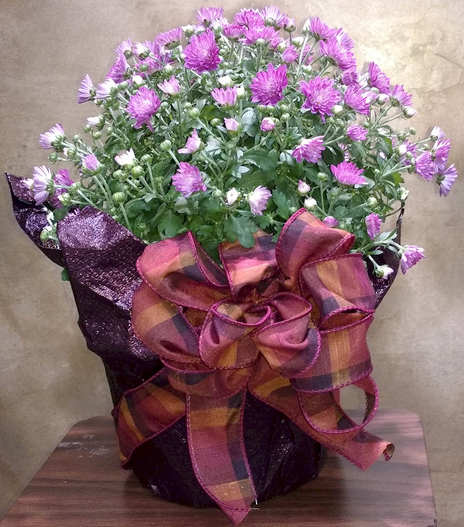 Flowers from Dakota Country Pharmacy