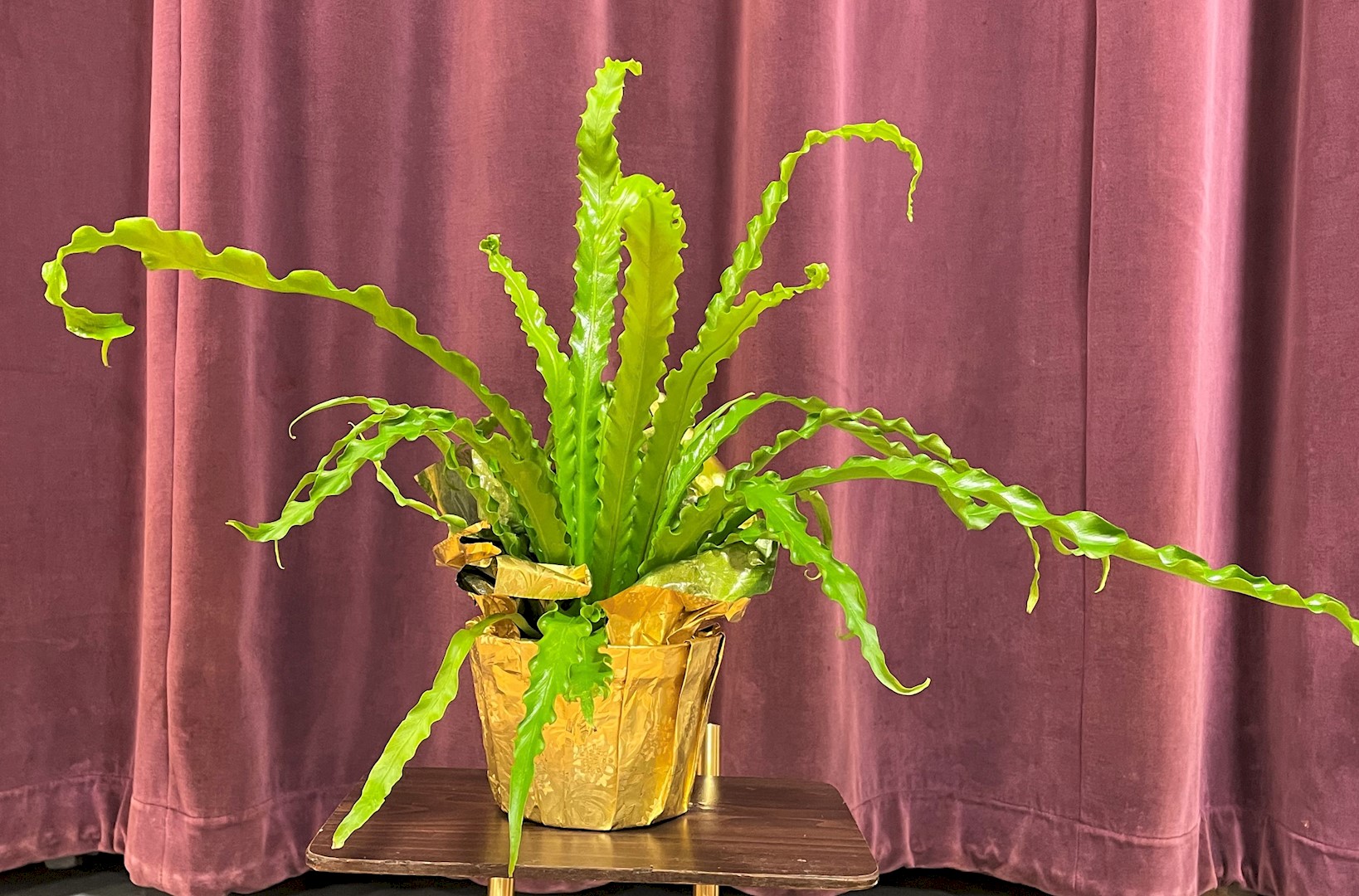 Flowers from Kadoka Area School District Administration and Staff