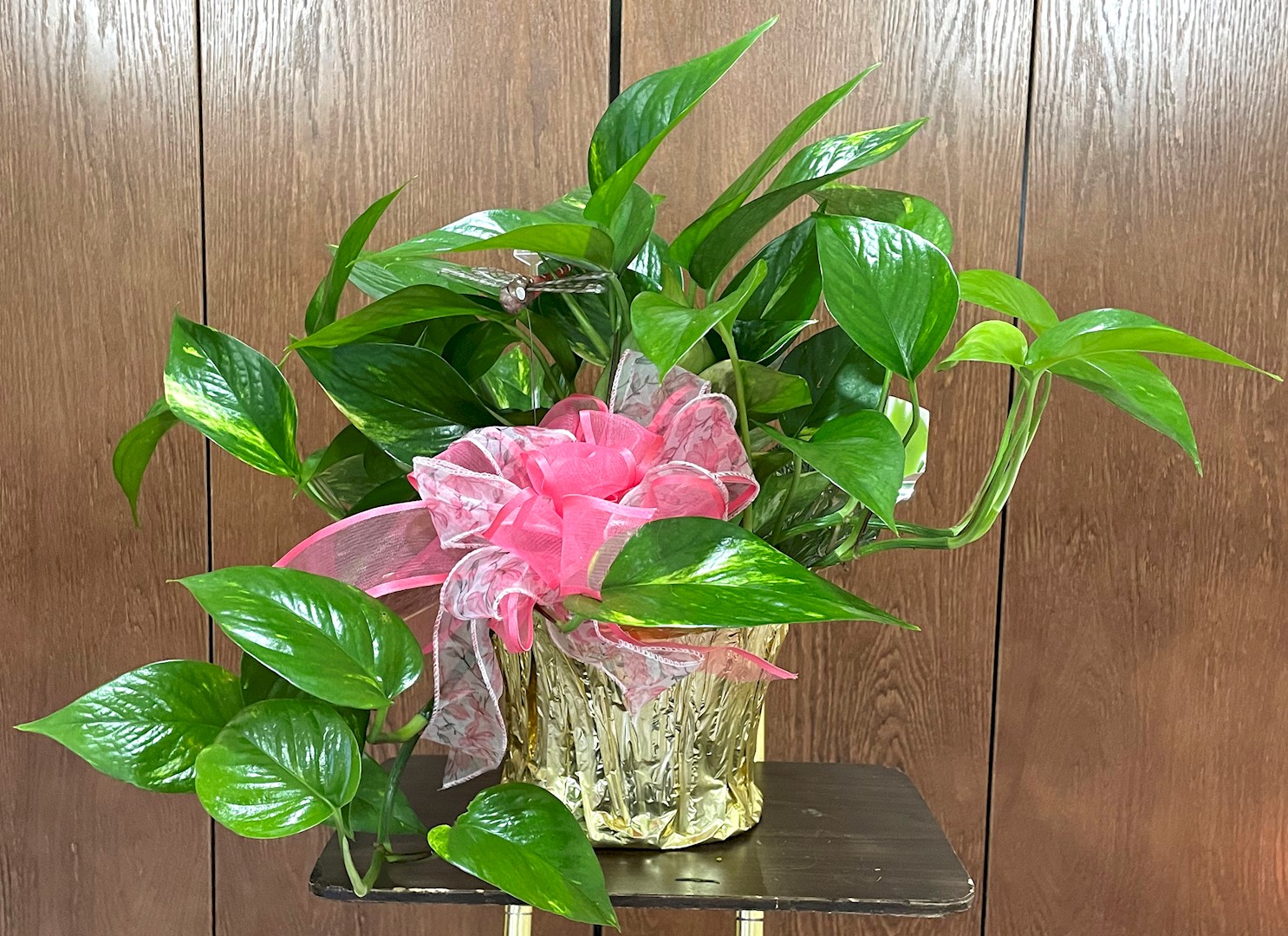 Flowers from Linda and Harlan Eisenbraun