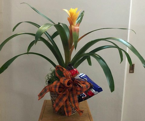 Flowers from Jeff and Kerri Enders and Colby, Jessica and Samantha