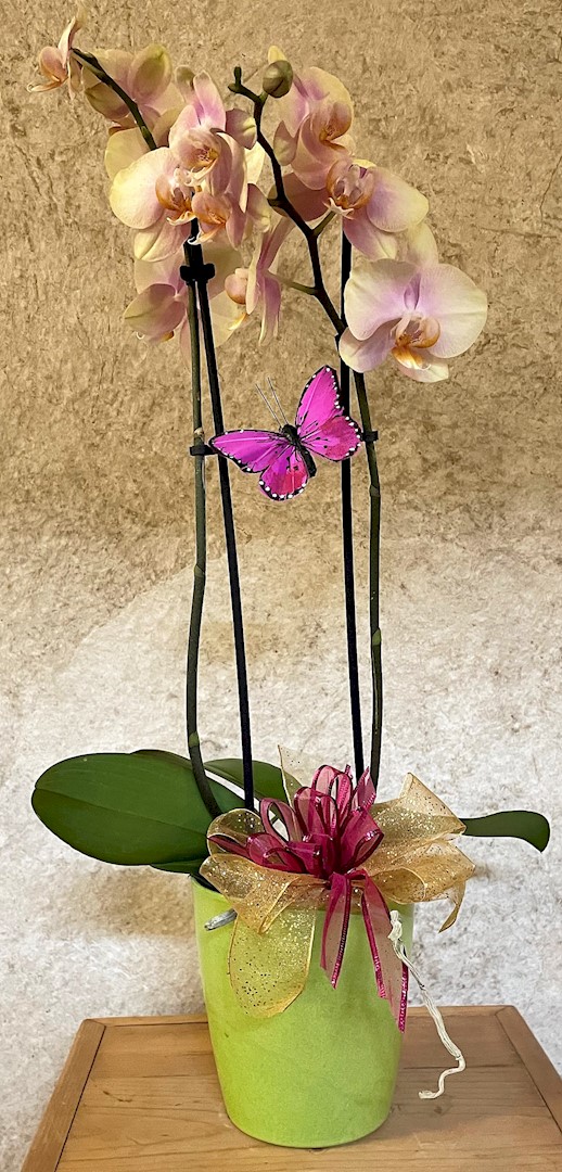 Flowers from Stacy, Cally, and Katie