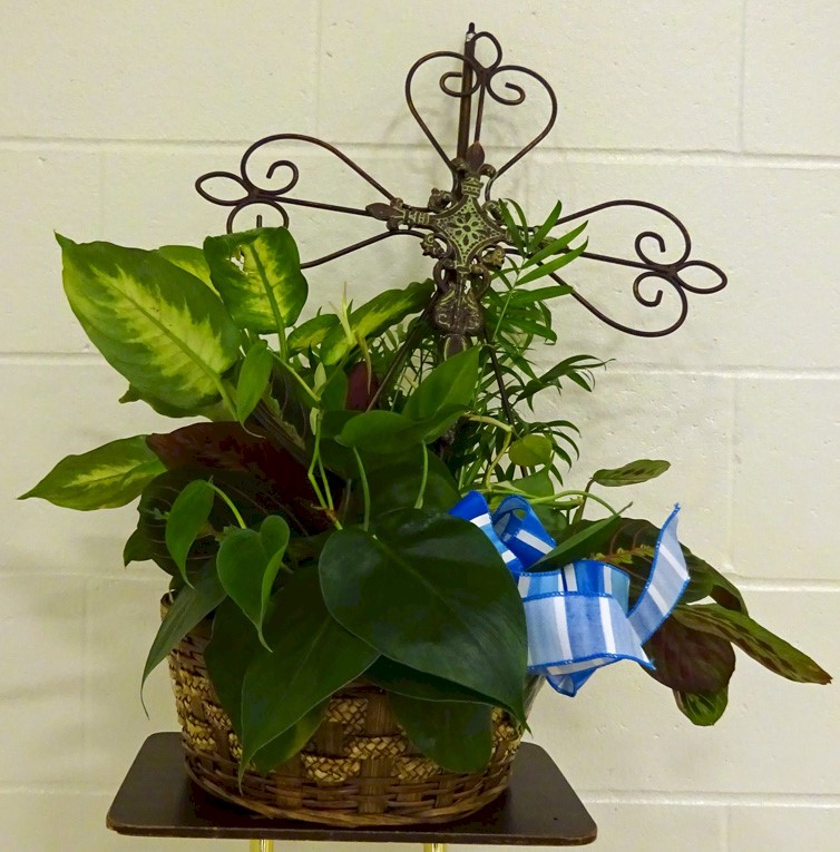 Flowers from Discount Fuel, Kadoka Oil - Mark, Tammy, and Family