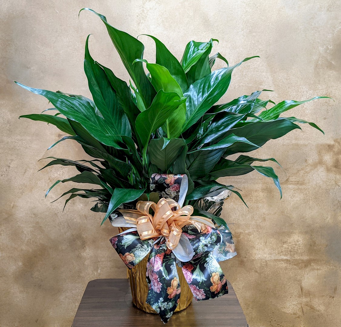 Flowers from CPS Crew - Pierre, SD