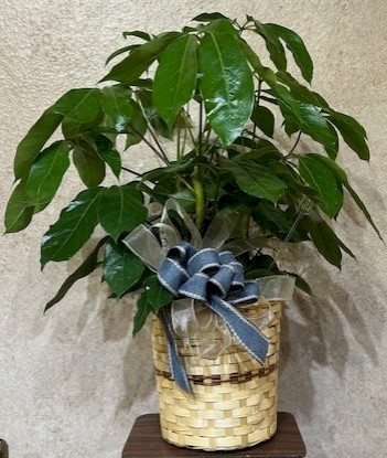 Flowers from Julie, Scott, Jenna and Jake, Codi, Jodi, Adonis, Jadyn, and Braden