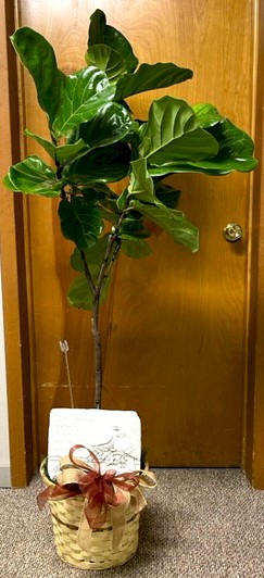 Flowers from Randy and Sue Holt; Chad and Kingston; Murdock and Britt; and Zach and Darcie