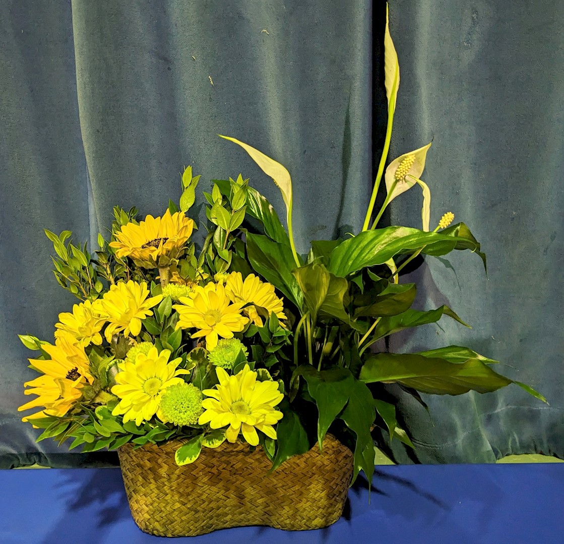 Flowers from Class of 2023
