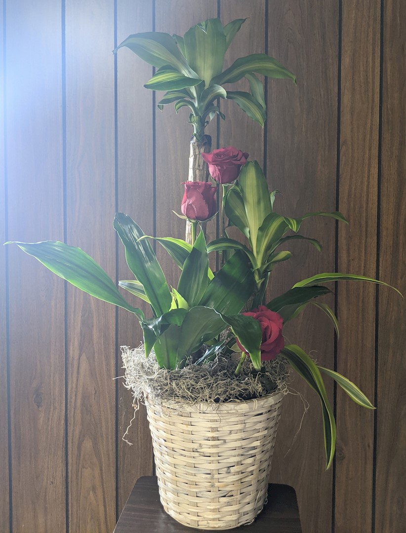 Flowers from Florence Strickland, Luan Collins, and Mike and Alice Hobgood