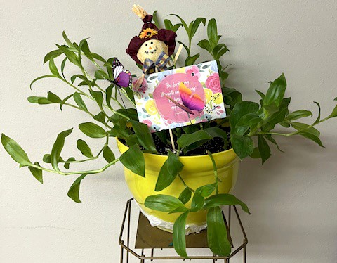Flowers from Mike and Shar Moses