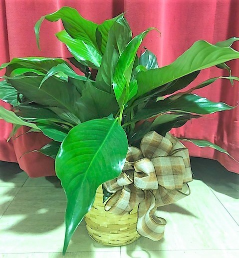 Flowers from Urig Mail Route - Mike and Lavonda Urig