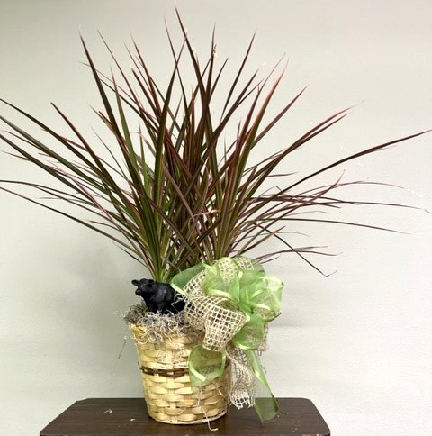 Flowers from Rafter U Cross Ranch - Cory, Alicia, Carter, and Chloe; Riley, Cheyene, and Boys, and Roger and Bonna