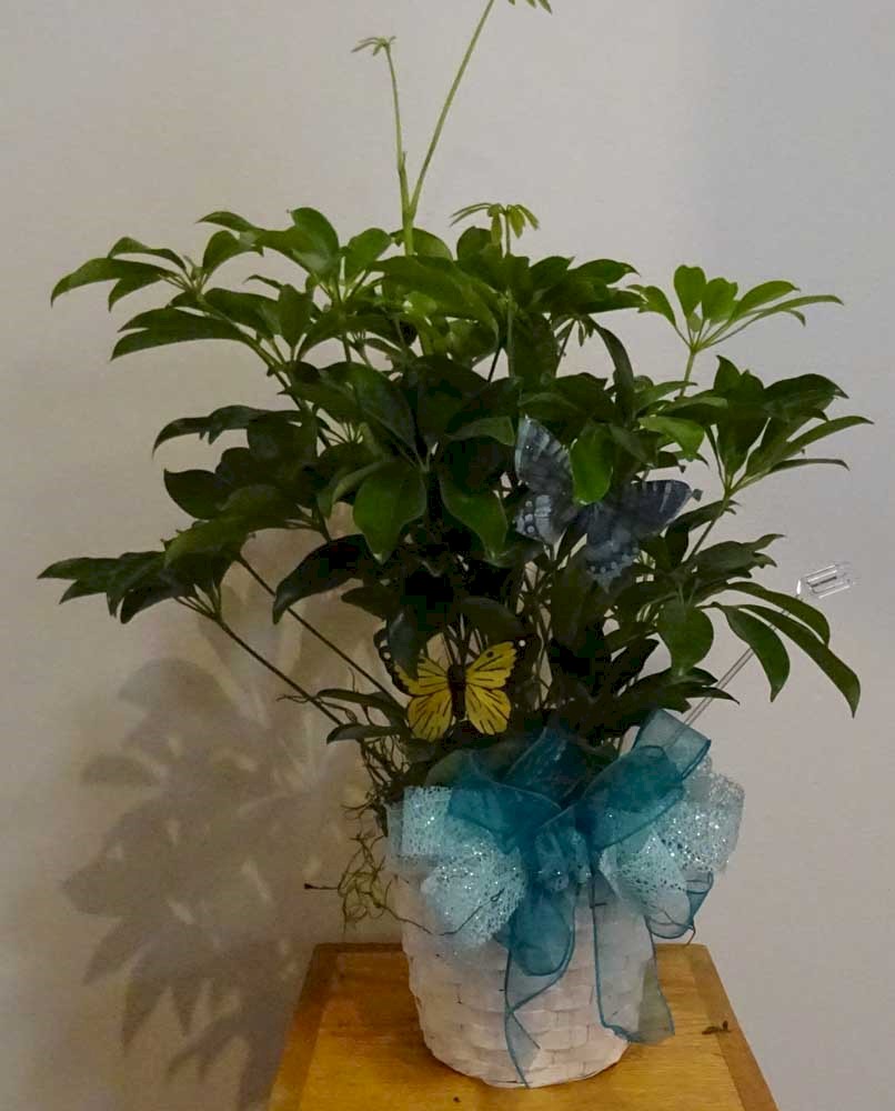 Flowers from Marty, Susan and Family