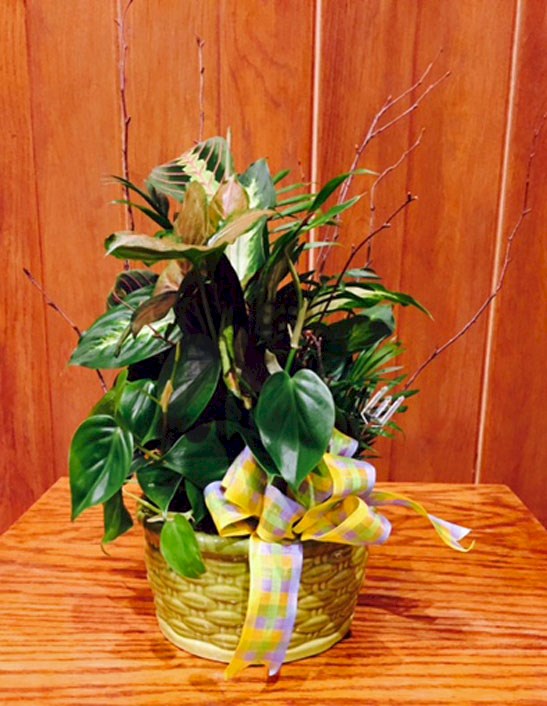 Flowers from All at Hansen Physical Therapy