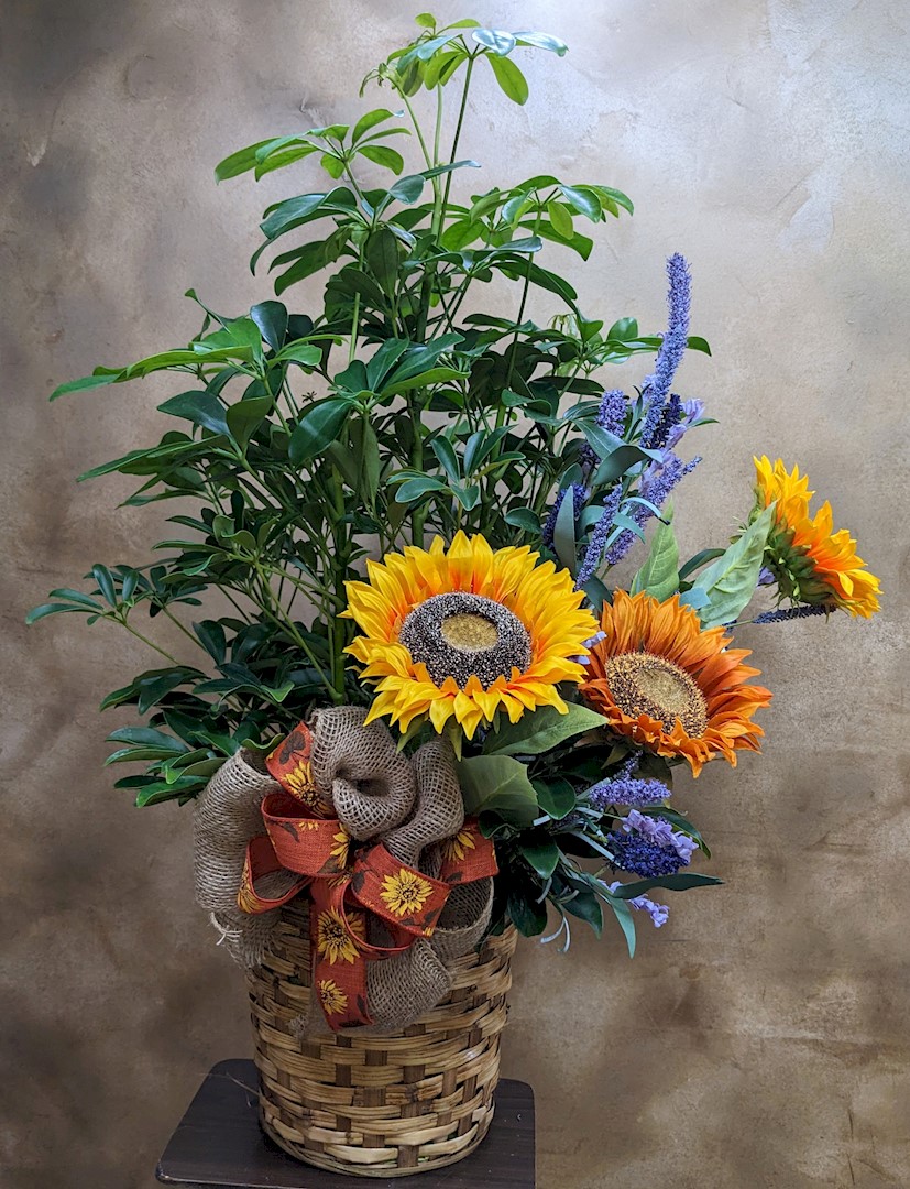 Flowers from Haakon County Conservation District