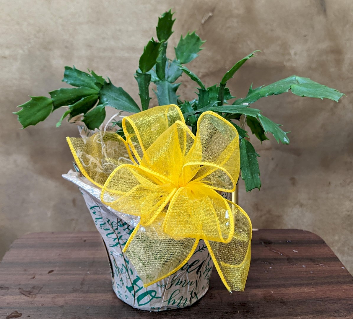 Flowers from Anna Mary