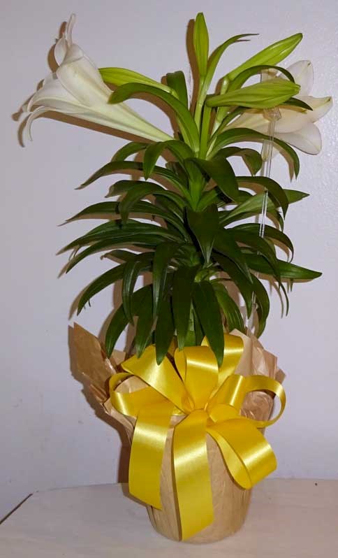Flowers from Virgil and Shirley