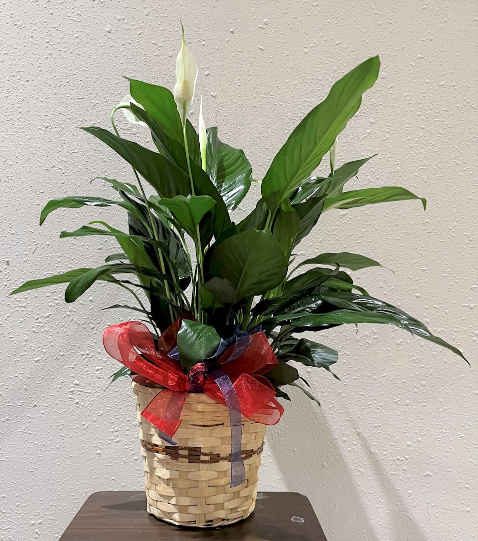 Flowers from Mike and Kristie Bradley