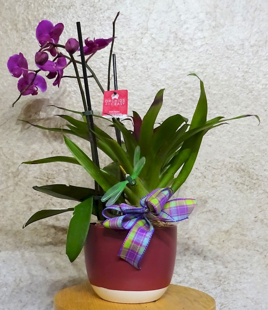 Flowers from Pat Ginsbach, Jane Farrell, Lacey Rapp, and Erica Smith