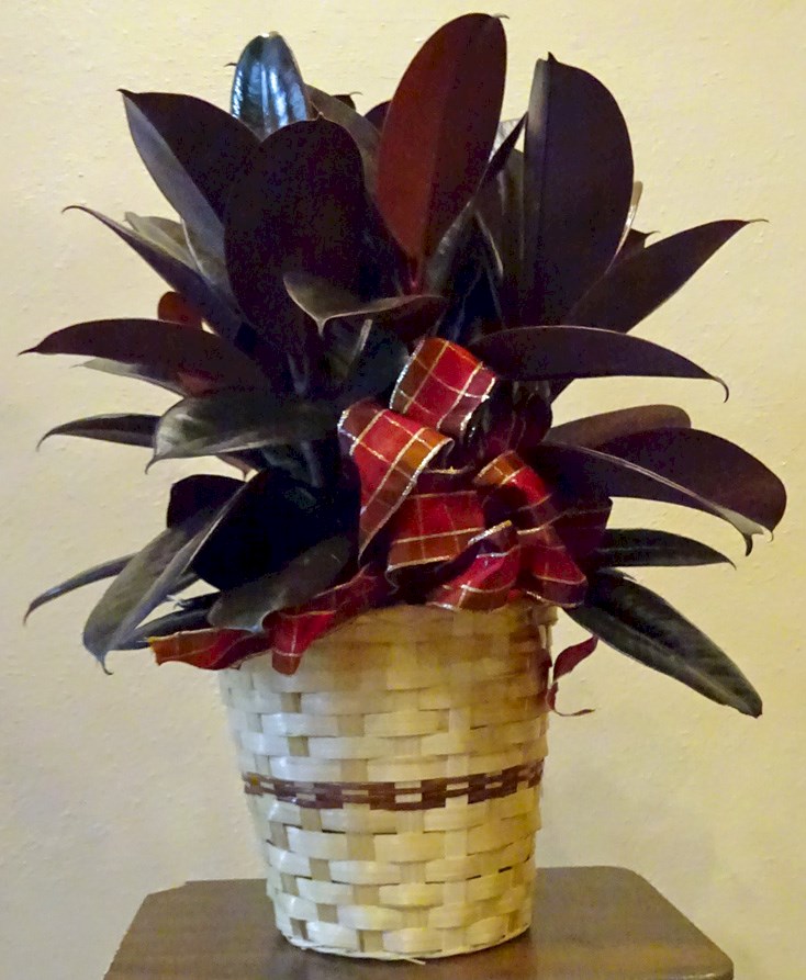 Flowers from West Central Electric