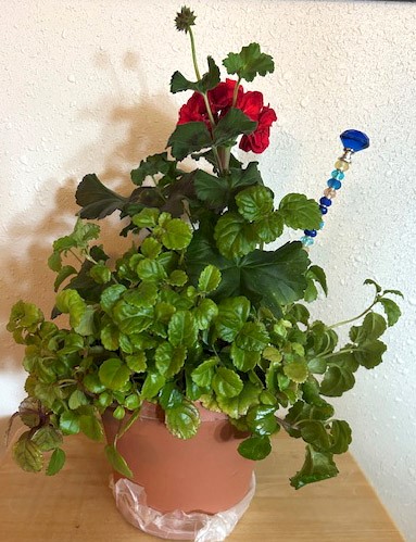 Flowers from Mike and Shar Moses and Family