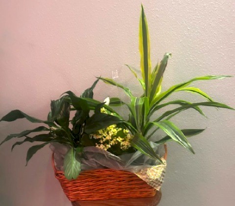 Flowers from Doug and Justine Estes