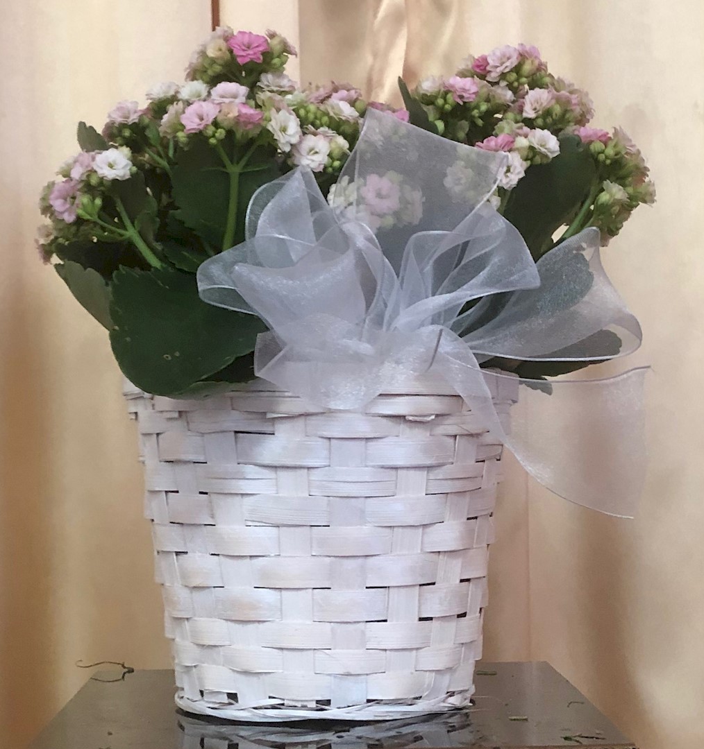 Flowers from Dakota Country Pharmacy