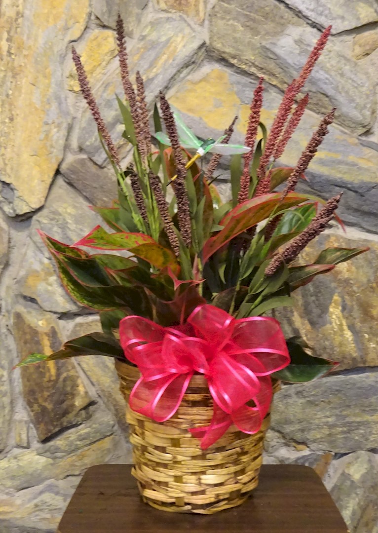 Flowers from Philip Health Services Board of Directors and TLC