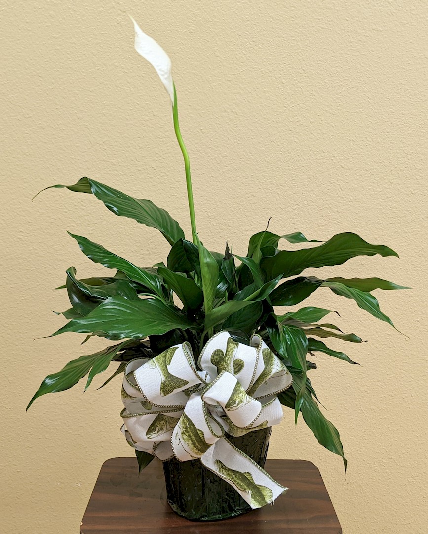 Flowers from Your Friends at Doosan Portable Power