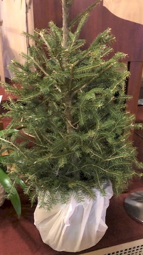 Flowers from Midland Fire Department