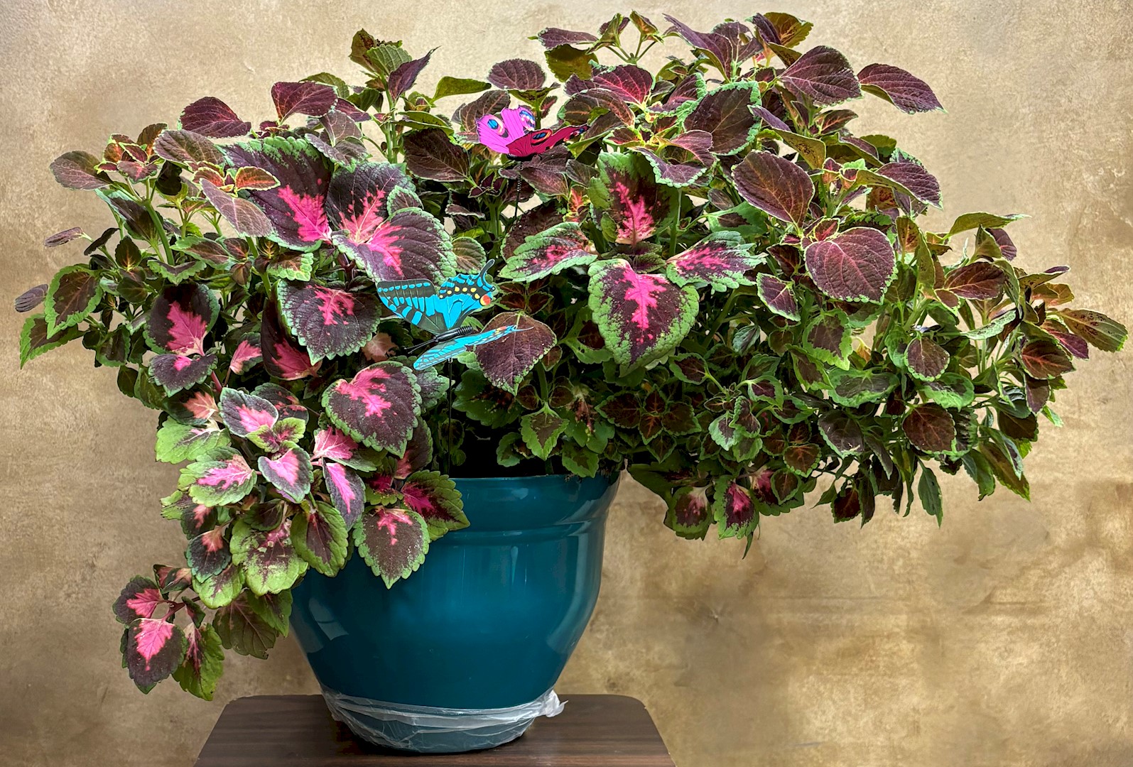 Flowers from Moses Family