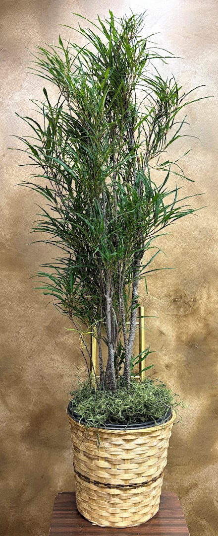 Flowers from The Kerns Families