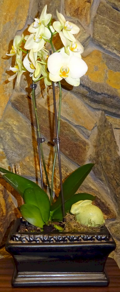 Flowers from NAPA, Billings, Family