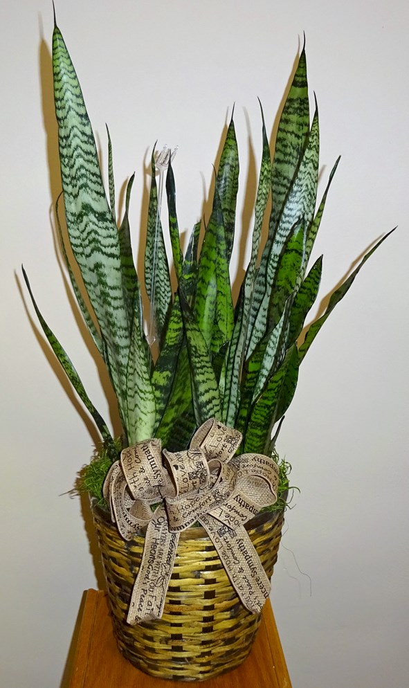 Flowers from Kadoka Oil & Discount Fuel - Mark & Tammy Carlson, Family, and Employees