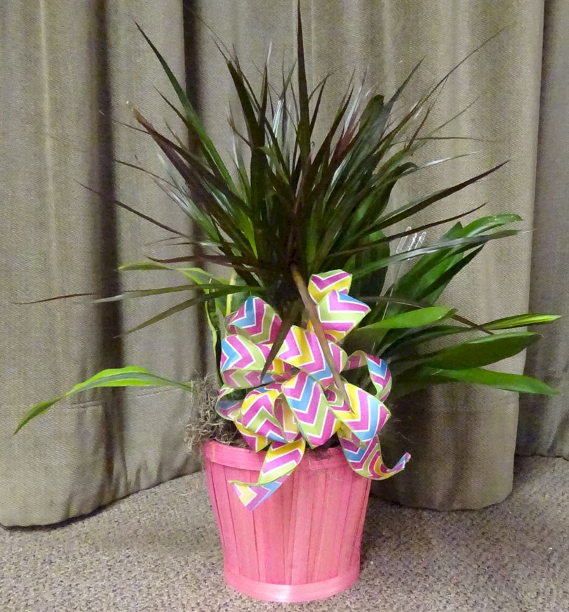 Flowers from PCRWS