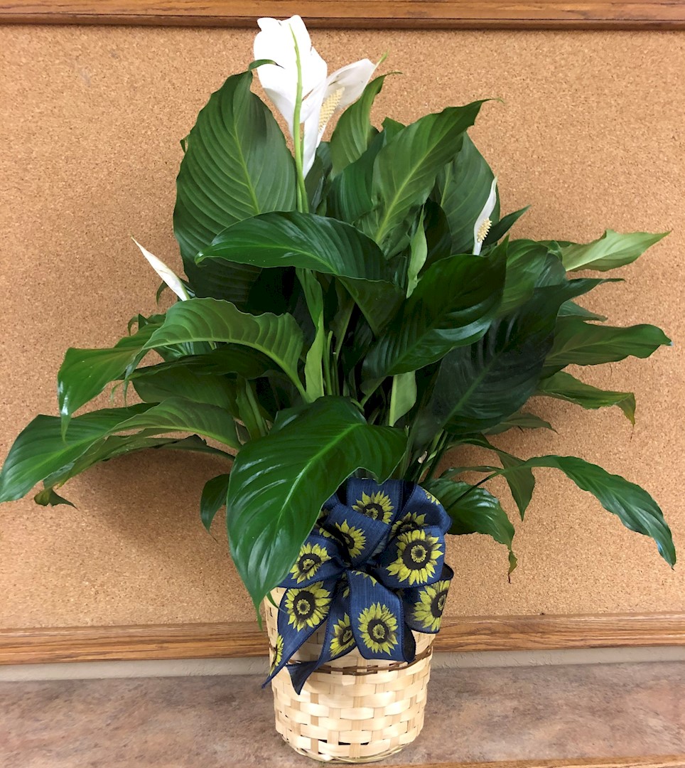 Flowers from Theresa Burke and Family